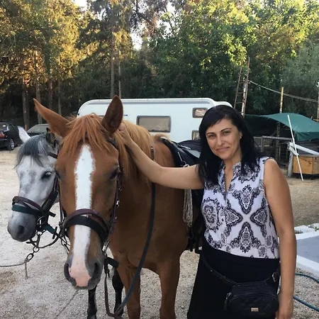 Xenicamp & Tolón