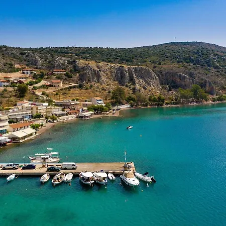 Xenicamp &