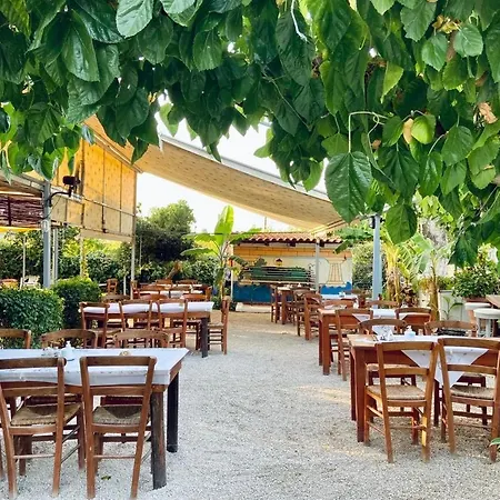 Xenicamp & 캠프장 *