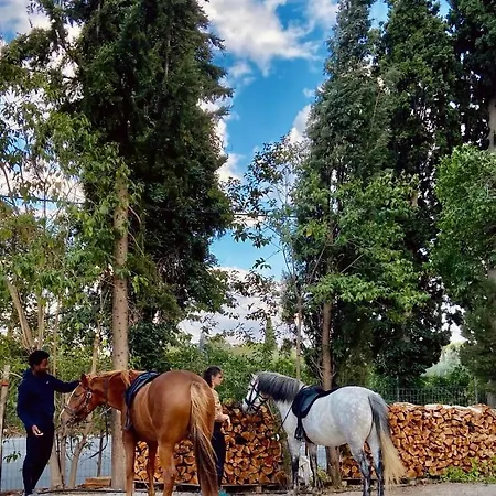 Xenicamp & 캠프장 Tolón