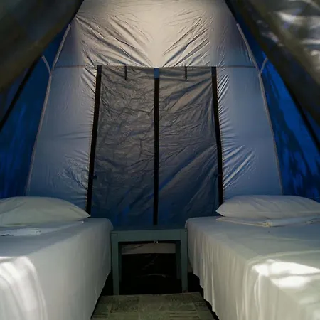Xenicamp & * Tolo