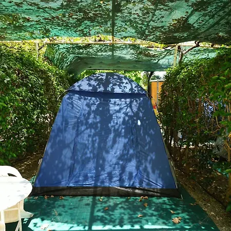 Xenicamp &