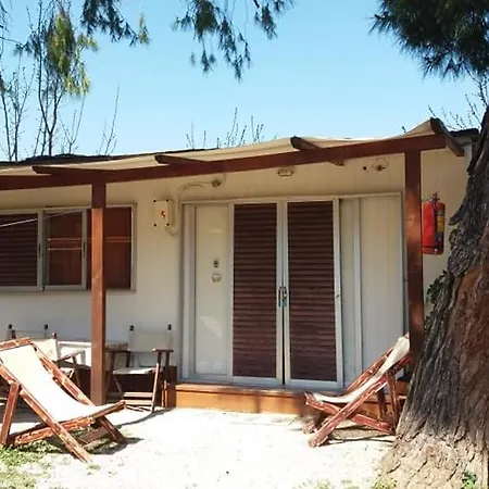 캠프장 Xenicamp & Tolón