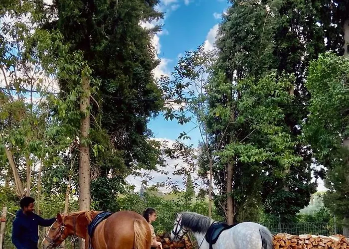 Xenicamp & Camping Tolón