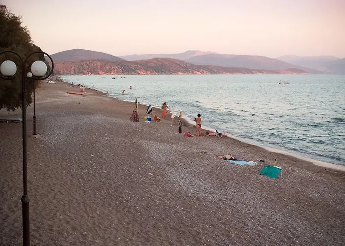 캠프장 Xenicamp &