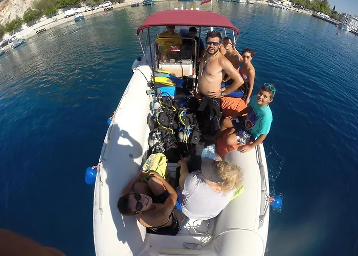 Xenicamp & 캠프장