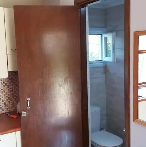 Xenicamp & 캠프장 *